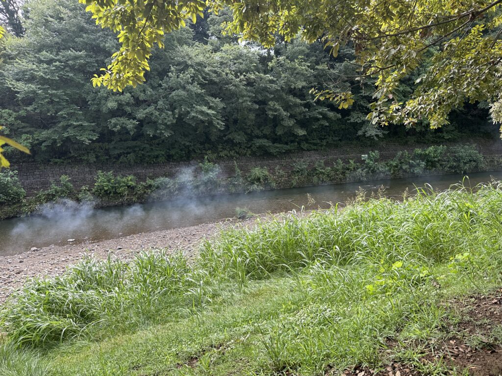 清瀬金山緑地公園/清瀬市/バーベキュー/レンタル/手ぶら/配達/BBQ太郎/