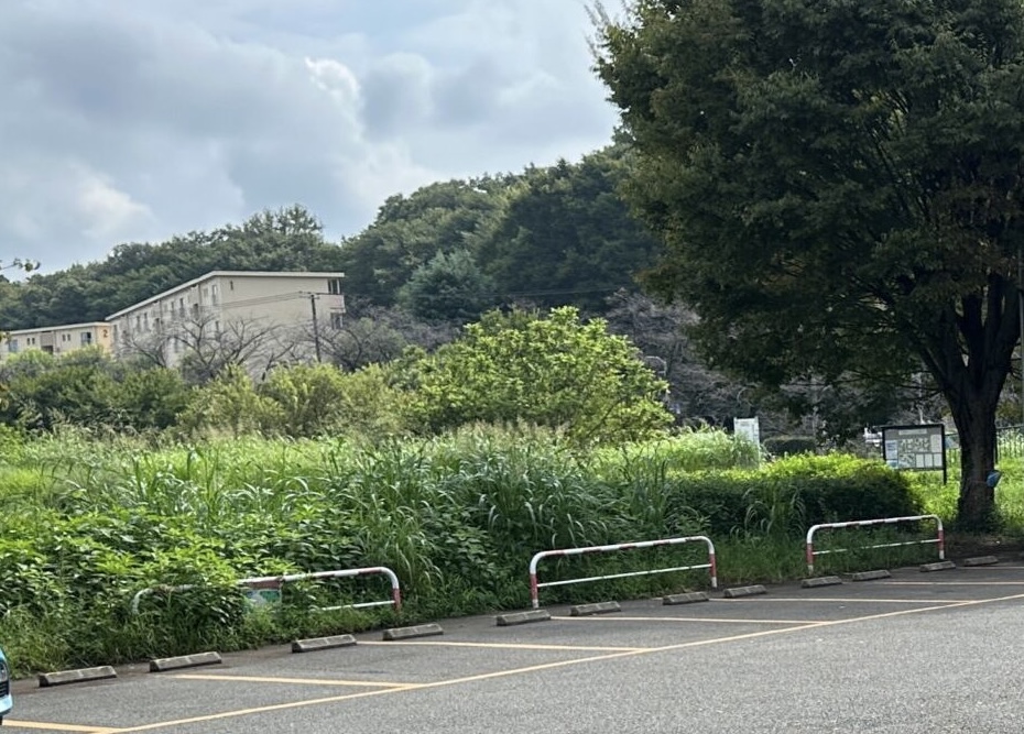 金山緑地公園_駐車場