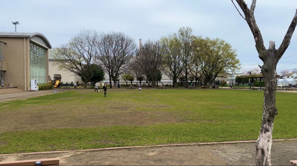 神山公園_芝生広場