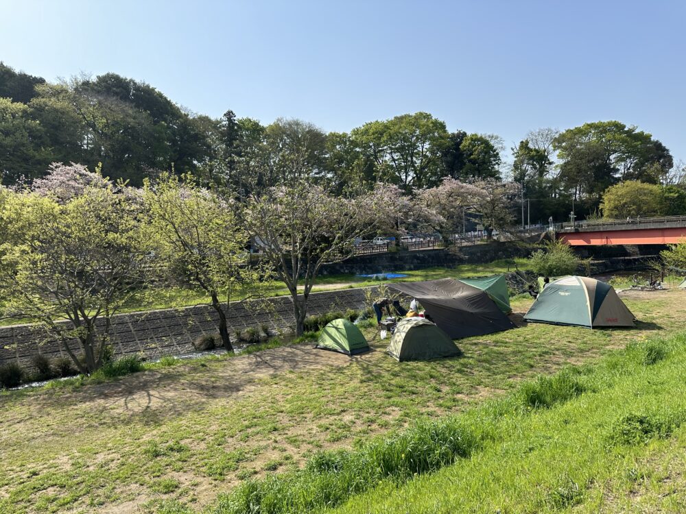 柳瀬川沿い