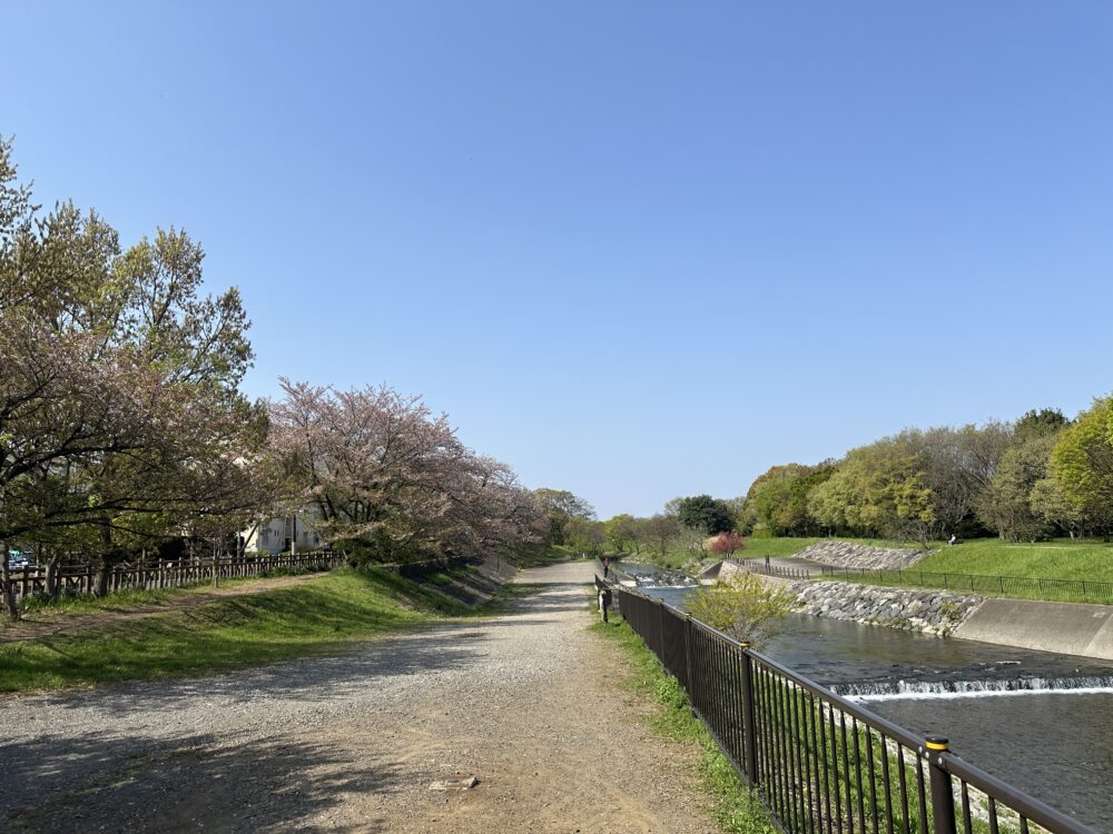 柳瀬川沿い