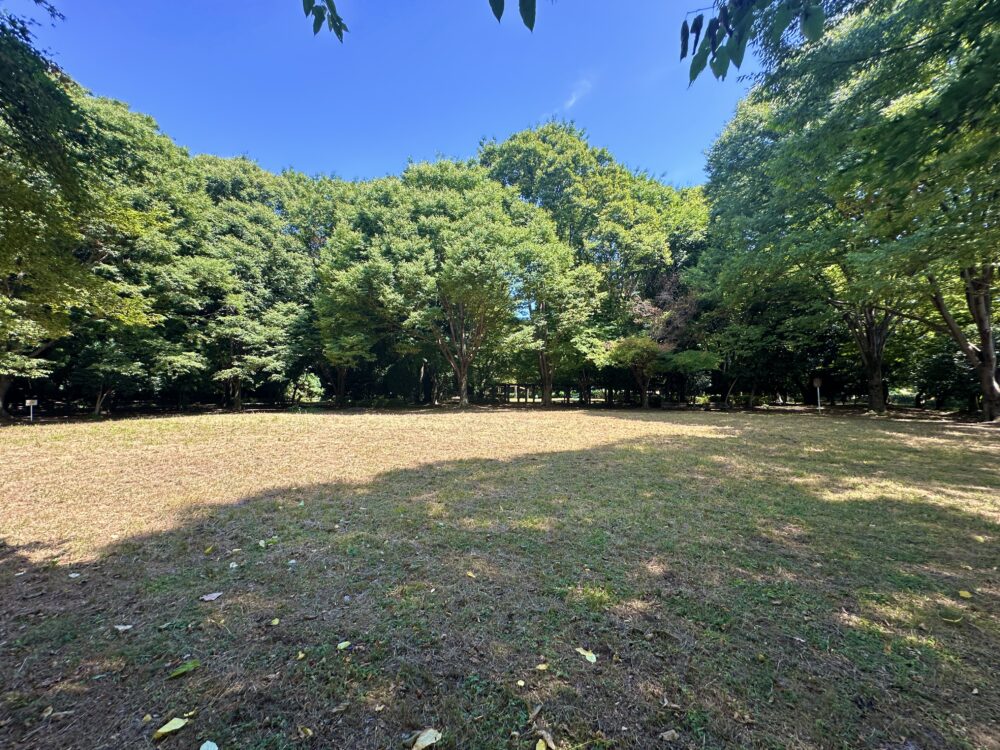 滝の城址公園の自由広場