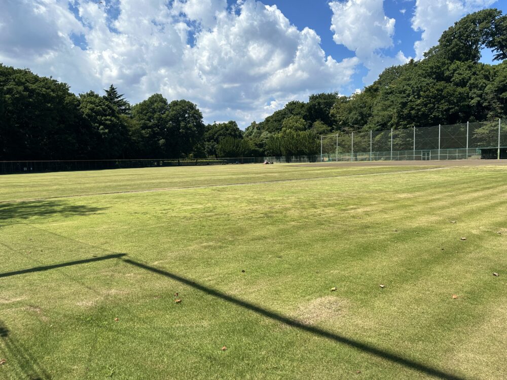 滝の城址公園の野球場