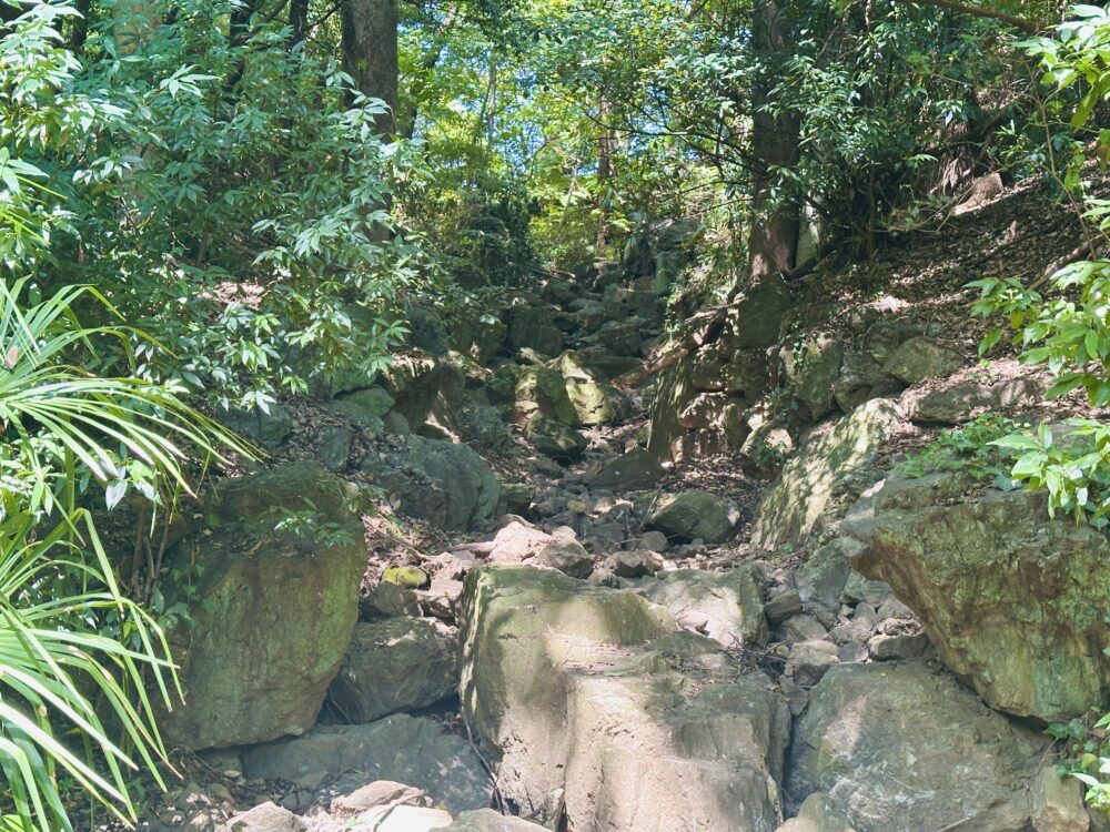 滝の城址公園の滝跡