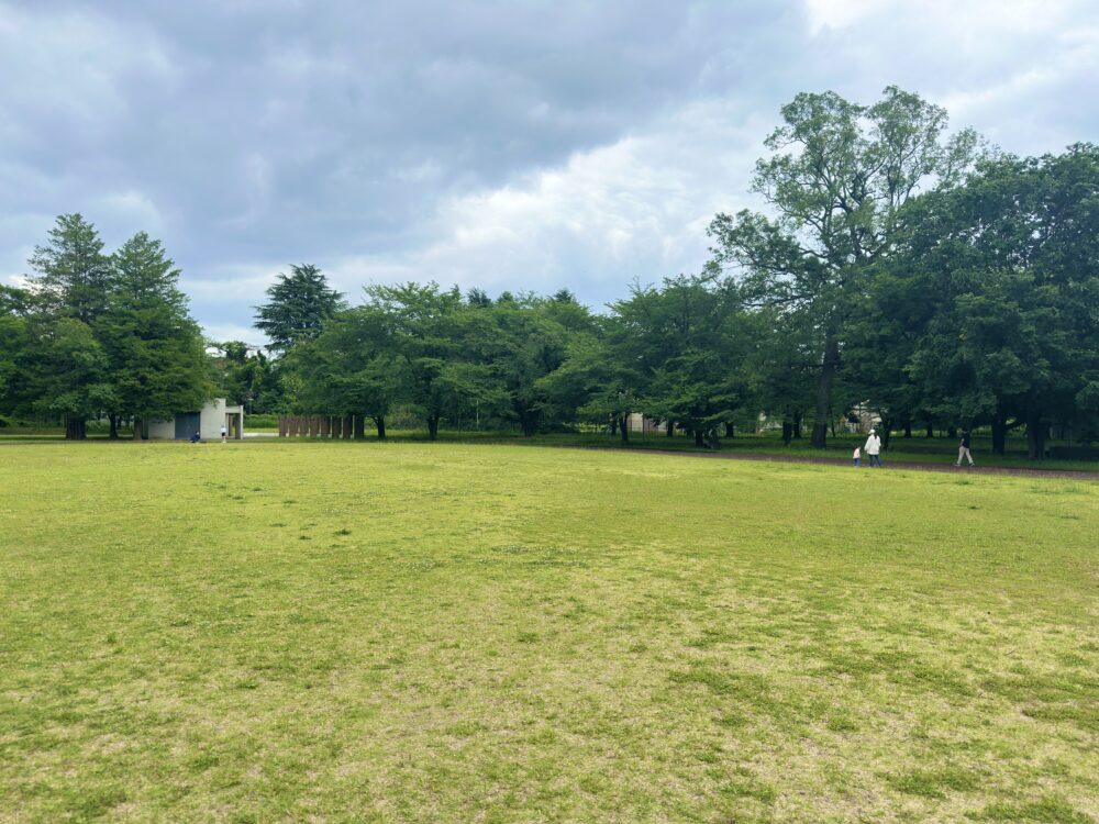 国立看護大学の芝生広場