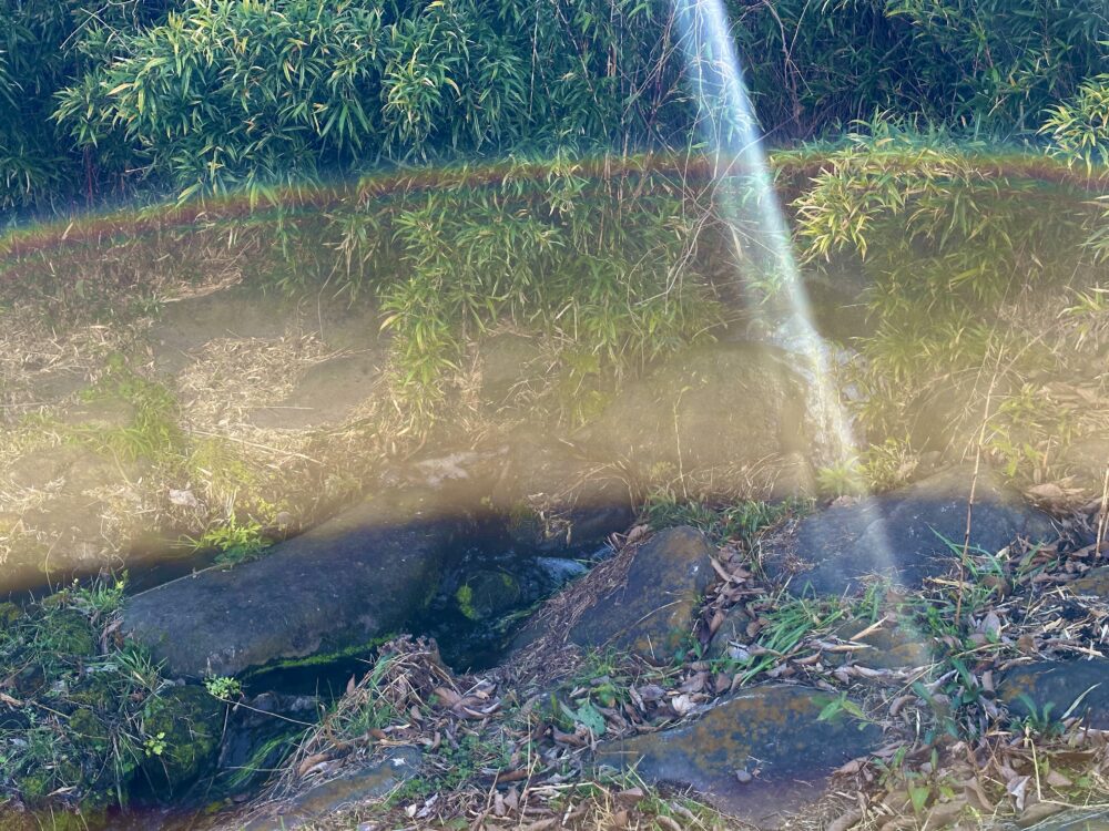 せせらぎ起点ゾーンの岩場から流れ込む水
