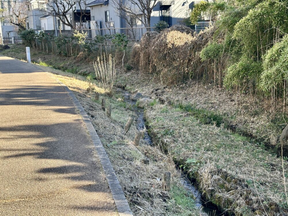 せせらぎ起点ゾーンの清流