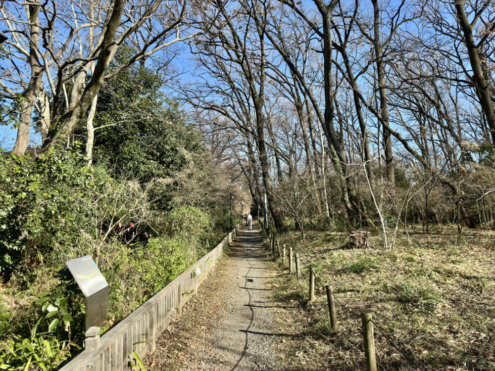 生態散策ゾーンの景観1