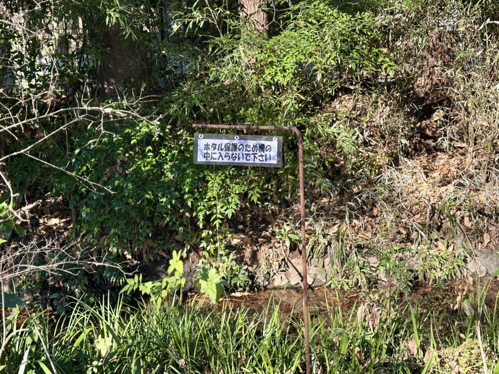 ホタル保護の看板