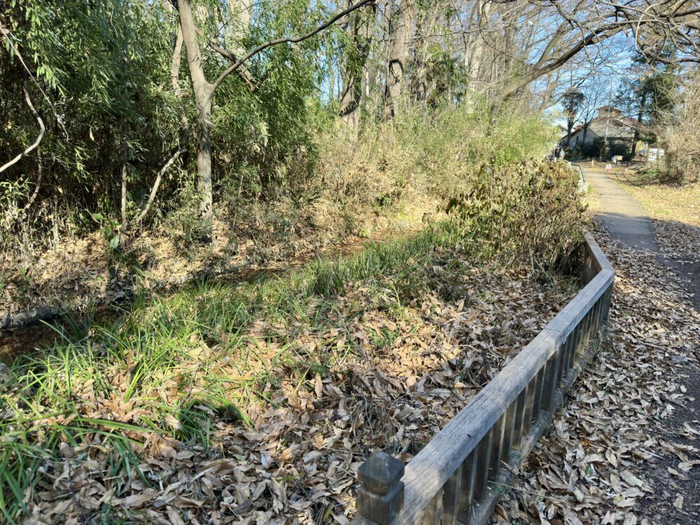 生態散策ゾーンの景観2