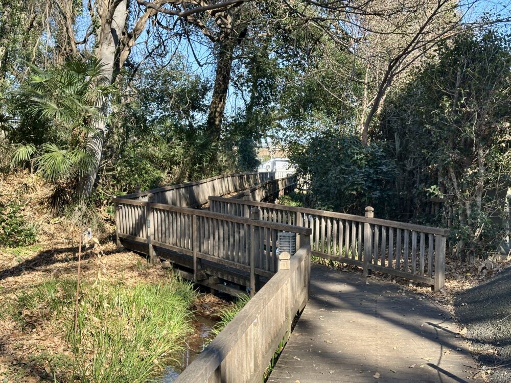 生態散策ゾーンの景観3