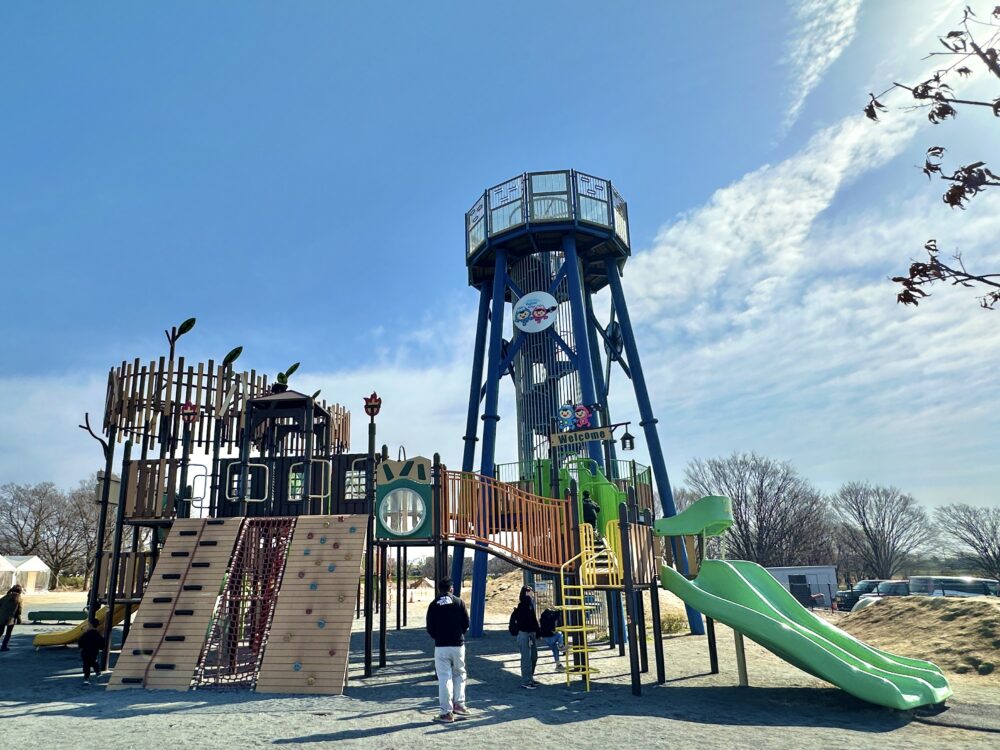 びん沼自然公園の大型複合遊具を北側から見た写真