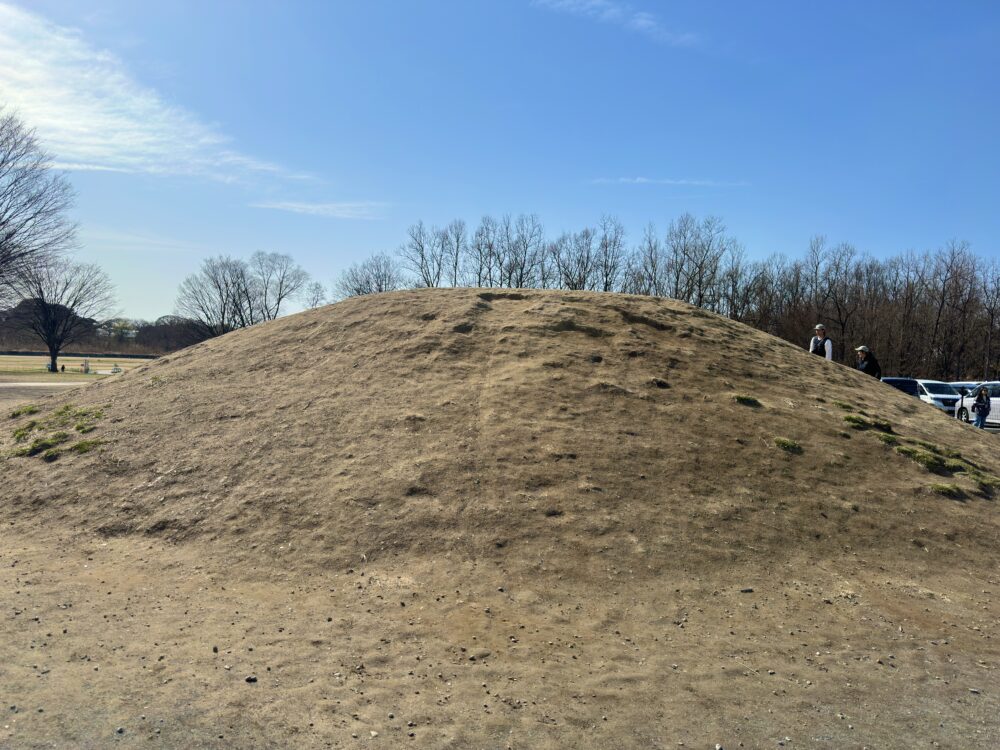 びん沼自然公園の複合遊具の隣にある大きな築山