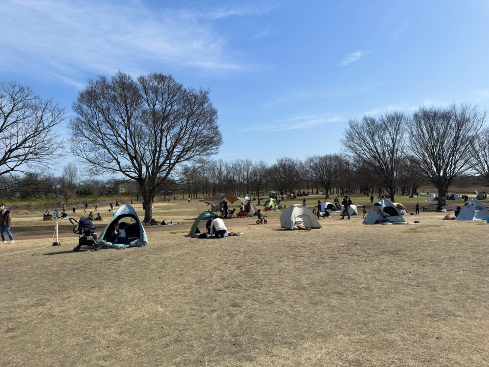 びん沼自然公園の多目的広場でテントを張っているファミリーの様子