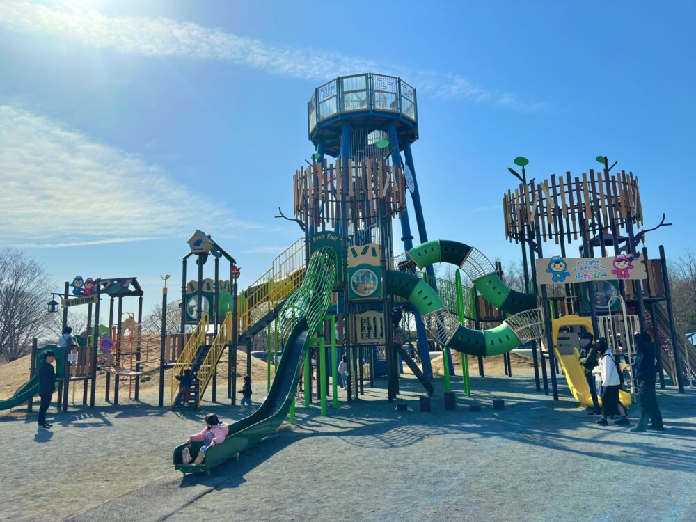 びん沼自然公園の大型複合遊具を東側から見た写真