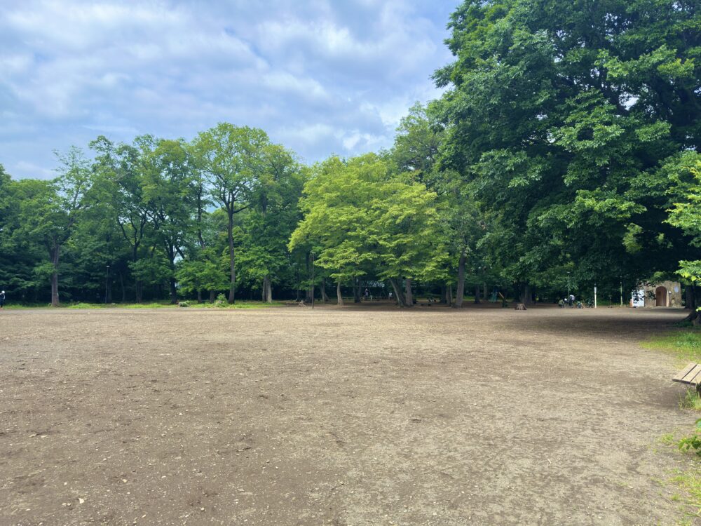 竹丘公園の広場
