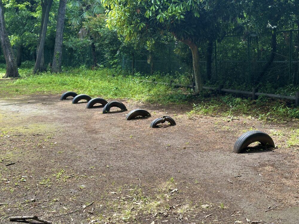 竹丘公園のタイヤ連