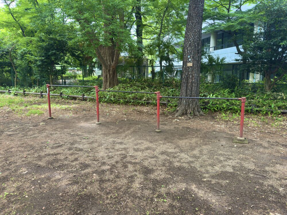 竹丘公園の鉄棒