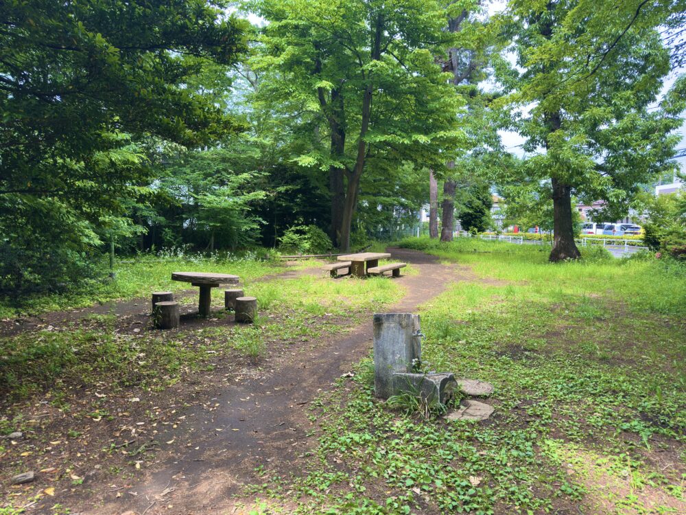 竹丘公園のベンチとテーブル